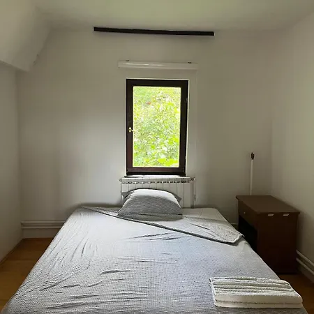 Vacation Spot In In A Calmest Spacious Area Apartment