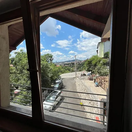 Vacation Spot In In A Calmest Spacious Area Apartment